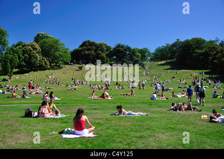 Le Parc de Greenwich, Greenwich, London Borough of Greenwich, Greater London, Angleterre, Royaume-Uni Banque D'Images