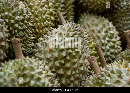 Durians sur l'affichage pour la vente Banque D'Images