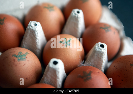 Des œufs de poules de Burford Brown dans une boîte d'oeufs Banque D'Images