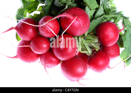 Légumes, radis, radis. Banque D'Images