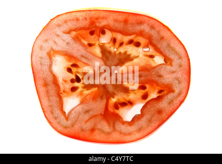 Tomate rouge, légumes, tomates mûries sur pied. Banque D'Images