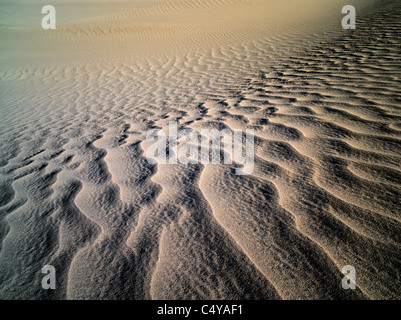 Des modèles dans le sable après une tempête de vent intense. Death Valley National Park, Californie Banque D'Images