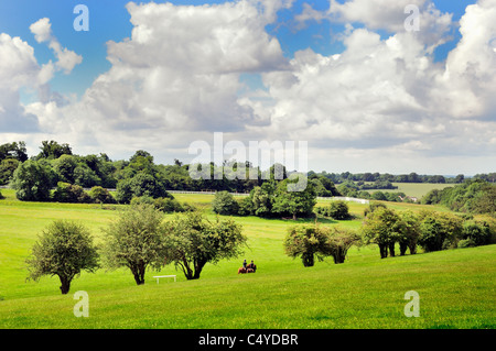 Campagne à Epsom Downs, Surrey Banque D'Images