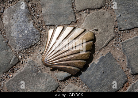 Un pétoncle, symbole pour le pèlerinage de Saint-Jacques de Compostelle, Namur, Wallonie, Belgique, Europe Banque D'Images