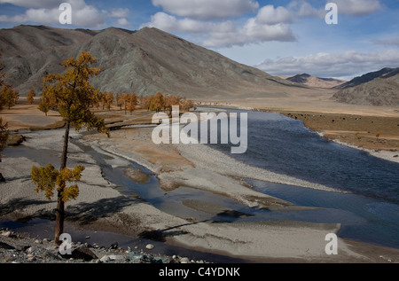 Arbre et montagnes de l'Altaï du lac Bayan Olgii Dayan dans Aimag dans la région de Parc National de Tsengekhayrkhan Banque D'Images