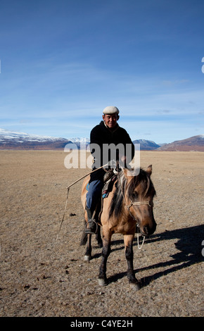 Bouvier, en bordure du lac Khoton Bayan en Mongolie (région d'Tsengekhayrkhan), Banque D'Images