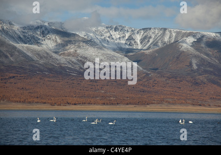 Montagnes aux sommets enneigés et le lac de garde dans la région de Bayan Olgii Aimag dans la région de Tsengekhayrkhan, contre sommets enneigés en Mongolie Banque D'Images