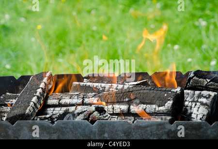 Vue rapprochée de l'incendie dans les langues de bois barbecue sur une herbe jardin vert Banque D'Images