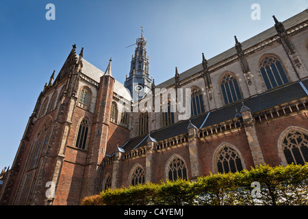 Sint-Bavokerk, Église Saint-bavon, ou Grote Kerk, l'église protestante d'Haarlem, Hollande du Nord, Pays-Bas. JMH5049 Banque D'Images