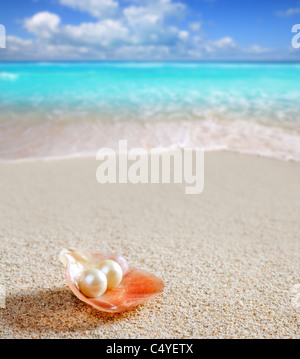 Caribbean pearl shell sur la plage de sable blanc de plus d'une mer turquoise Banque D'Images