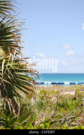 Delray Beach, en Floride Banque D'Images