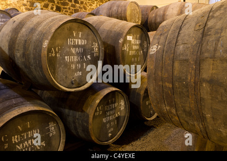 Maintenez en tonneaux de vin viné Port à échéance en caves de Villa Nova de Gaia, Portugal Banque D'Images
