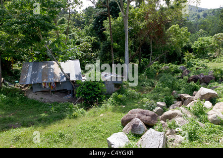 Shanty accueil dans Phuket Thaïlande Banque D'Images