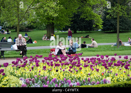 Les visiteurs et les fleurs de printemps, Avenue Gardens, Regent's Park, Londres, Angleterre , Royaume-Uni Banque D'Images