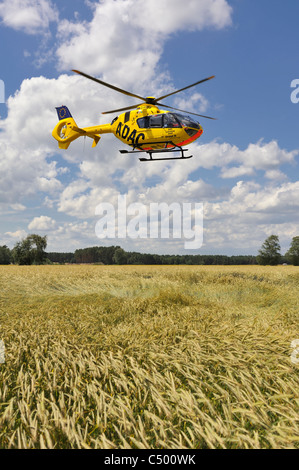 L'ADAC allemand de sauvetage par hélicoptère dans un champ de maïs Banque D'Images