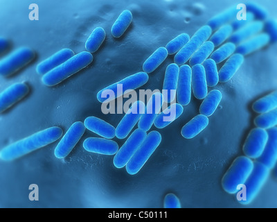 bactéries 3D Banque D'Images