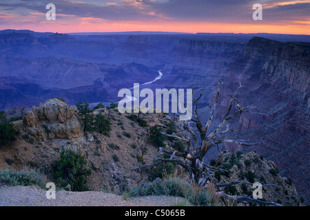 Au cours de la lumière avant l'aube du Grand Canyon Desert View, South Rim, Grand Canyon Nat. Pk., Arizona Banque D'Images