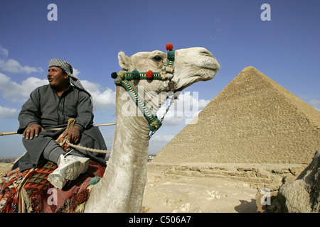 Une tribu bédouine et son chameau en face de la grande pyramide de Chéops à Gizeh, Le Caire, Égypte. Banque D'Images