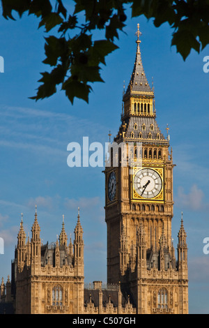 Big Ben clock tower,chambres du Parlement Banque D'Images