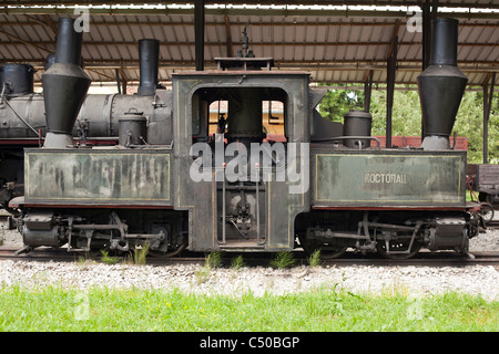 Vieille Locomotive et train museum, Uzicka Pozega, Serbie Banque D'Images