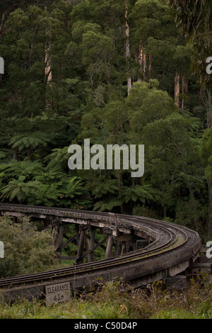 Ce train à vapeur centenaire est toujours en cours d'exécution sur sa piste de montagne dans le pittoresque de Dandenong Melbourne Australie Banque D'Images