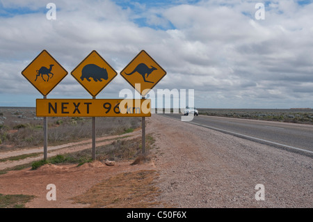 La signalisation routière sur la plaine du Nullarbor indiquant la présence de chameaux, wombat, et des kangourous sur la route Banque D'Images