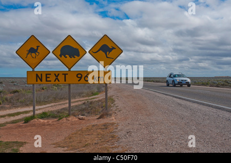 La signalisation routière sur la plaine du Nullarbor indiquant la présence de chameaux, wombat, et des kangourous sur la route Banque D'Images