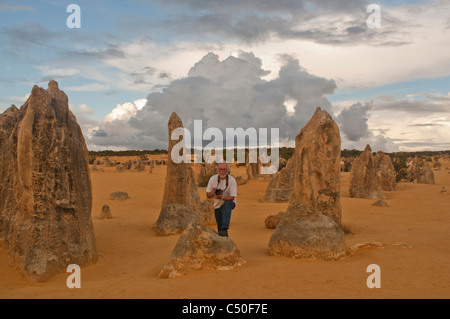 Rock formations dans le Désert des Pinnacles, Australie occidentale Banque D'Images