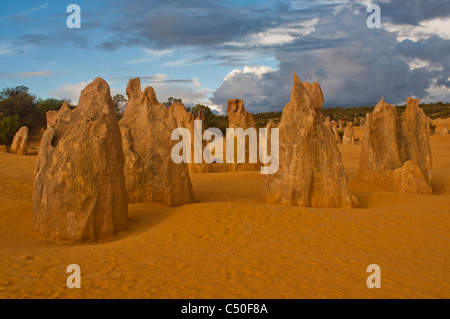 Rock formations dans le Désert des Pinnacles, Australie occidentale Banque D'Images