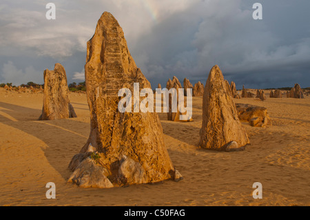 Rock formations dans le Désert des Pinnacles, Australie occidentale Banque D'Images