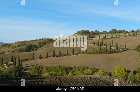 Célèbre courbe dans la route bordée de cyprès près de la Foce dans le Val d'Orcia en Toscane, Italie. Banque D'Images