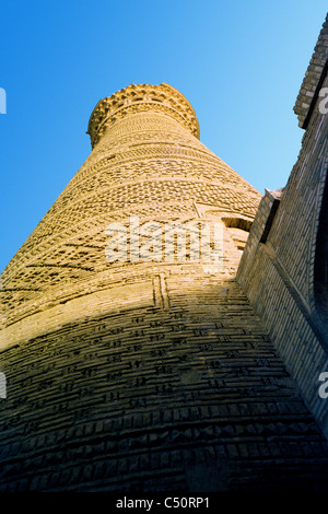 Minaret Kalyan, Boukhara, Ouzbékistan Banque D'Images
