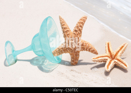 Étoile de mer sur la plage après avoir trop bu Banque D'Images