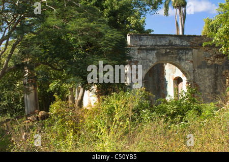 Ruines de la raffinerie de sucre de San Isidro, Valle de los Ingenios, Trinidad, Cuba Banque D'Images