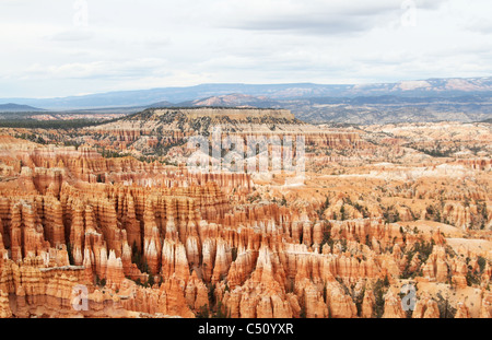 L'étonnant rocher structures à Bryce canyon, Utah, USA Banque D'Images