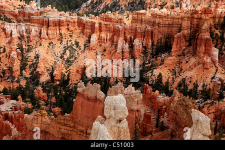 L'étonnant rocher structures à Bryce canyon, Utah, USA Banque D'Images