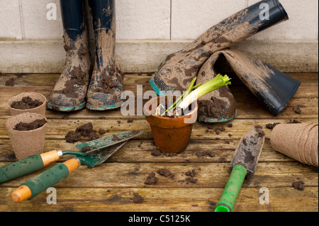 Des bottes et des outils de jardinage sur terrasse arrière avec les pots de fleurs à bulbe de jacinthe en pot après avoir travaillé dans le jardin. Banque D'Images