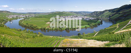 Moselle courbe aux villages viticoles trittenheim (à droite) et de Traben-trarbach(gauche), moselle, Rhénanie-Palatinat, Allemagne Banque D'Images