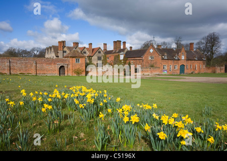 Les jonquilles en dehors de Packwood House au printemps. Le Warwickshire, Angleterre, Royaume-Uni. Banque D'Images