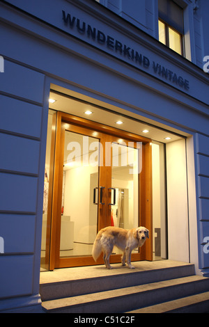Un chien en face de l'entrée d'une boutique de mode, Berlin, Allemagne Banque D'Images
