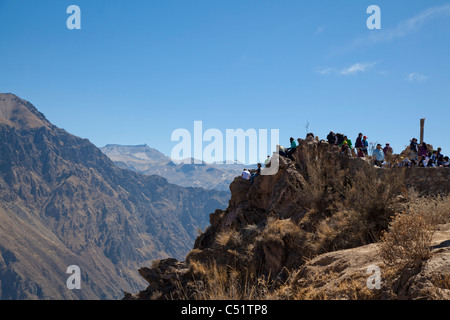 Waitingn les touristes à Cruz del Condor, Canyon de Colca, Pérou Banque D'Images