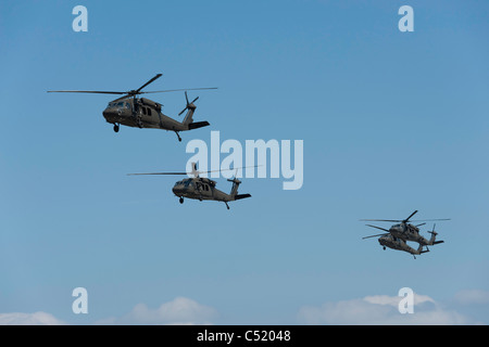 Hélicoptères Blackhawk Banque D'Images