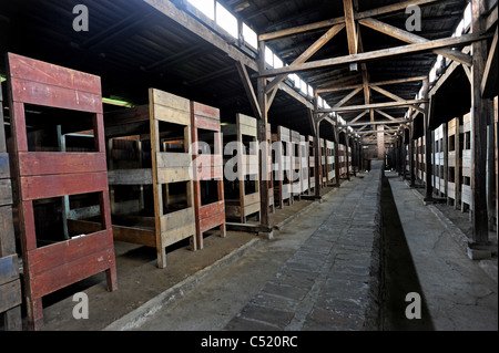 Auschwitz II Birkenau ancien camp de concentration et maintenant un musée de l'État - Les couchettes en bois pour les prisonniers à l'intérieur d'un refuge préservé Banque D'Images