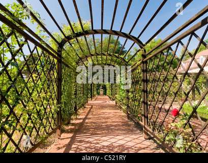 Pergola dans le jardin du palais, châteaux, Dornburg Dornburg, Thuringe, Allemagne, Europe Banque D'Images