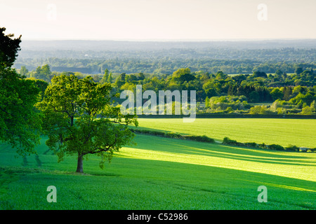 Les terres agricoles et campagne près de Guildford, Surrey, UK. Banque D'Images