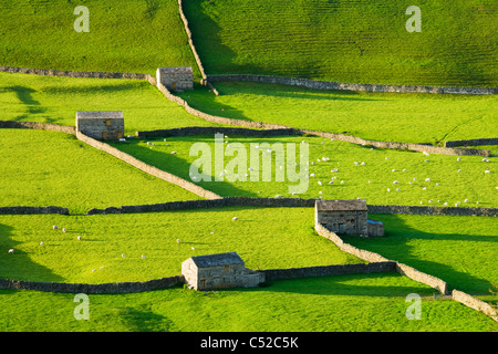 Gunnerside, Swaledale, Yorkshire Dales National Park, Royaume-Uni Banque D'Images