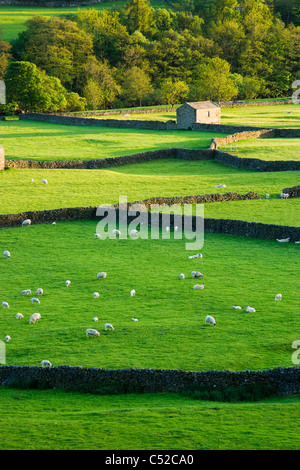 Gunnerside, Swaledale, Yorkshire Dales National Park, Royaume-Uni Banque D'Images