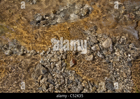 Fonctionnement de l'eau fraîche Claire plus de cailloux sur un lit de la rivière. La motion gelés par une grande vitesse d'obturation en plein soleil. Banque D'Images