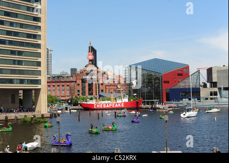 USA Maryland MD Baltimore Inner Harbor summer aquarium skyline Banque D'Images