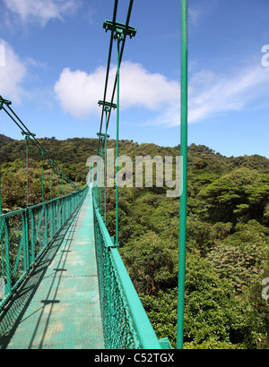 Un des ponts suspendus au-dessus de la canopée des arbres de la forêt nuageuse de Monteverde Cloud Forest, Costa Rica, Amérique centrale Banque D'Images